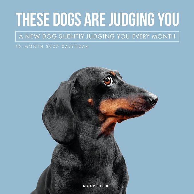 Judgemental Dogs 2027 Wall Calendar