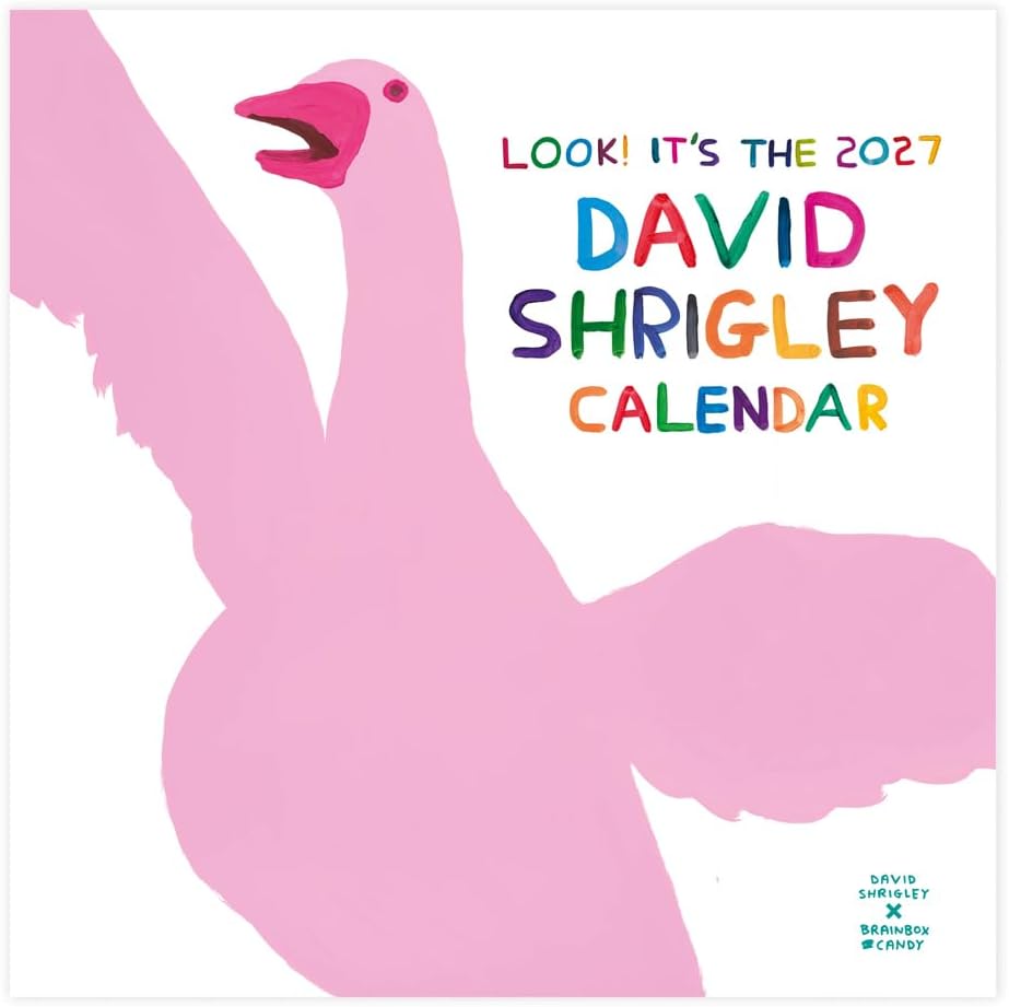 Official David Shrigley - 2027 Wall Calendar